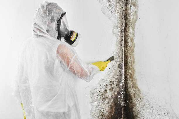 Mold Remediation for Rental Properties in Sherrelwood, CO